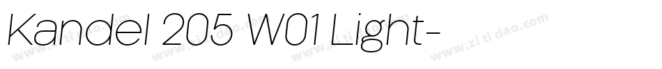 Kandel 205 W01 Light字体转换